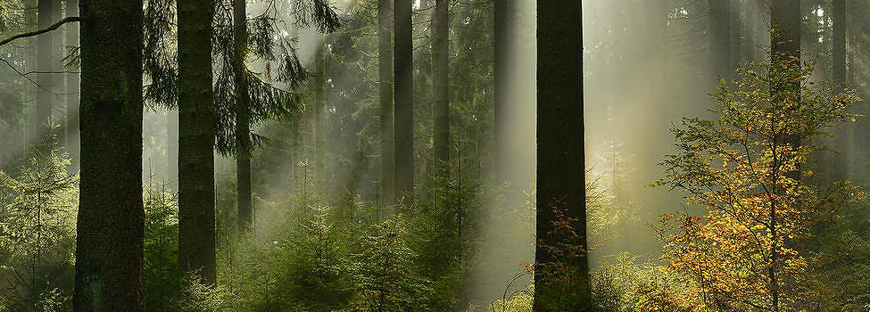 Foto: Ingrid Lamour