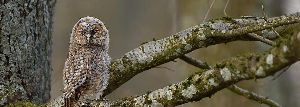 © Ingrid Lamour